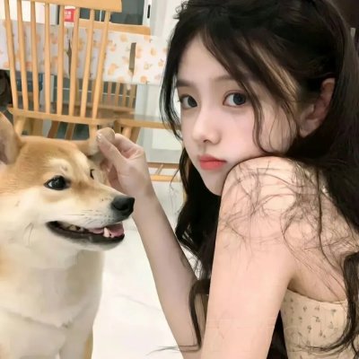 南风知我意